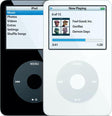 iPod Video 5th Gen (A1136)